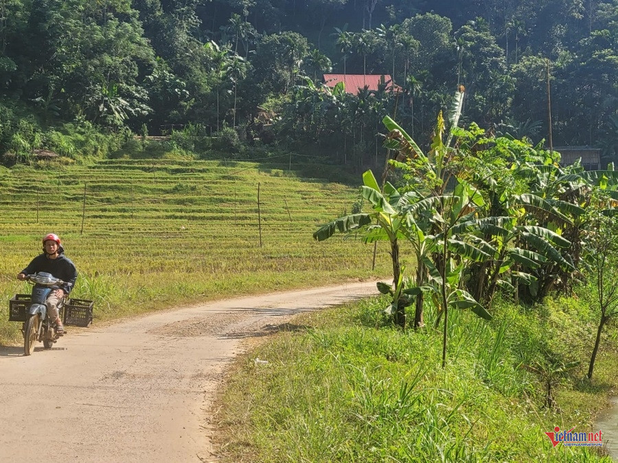 W-ab202ac9 d2da 498f b897 98c24c4ea540.jpg