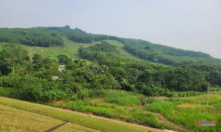 W-b95df186 90e2 4ae5 8a9a 92d91e419900.jpg