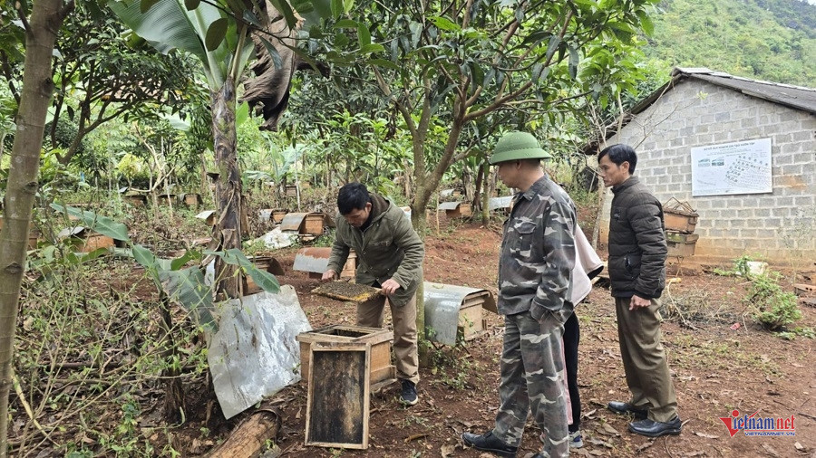 W-c6d39965 5d92 45f5 b34e ab3f23b9cc13 (1).jpg