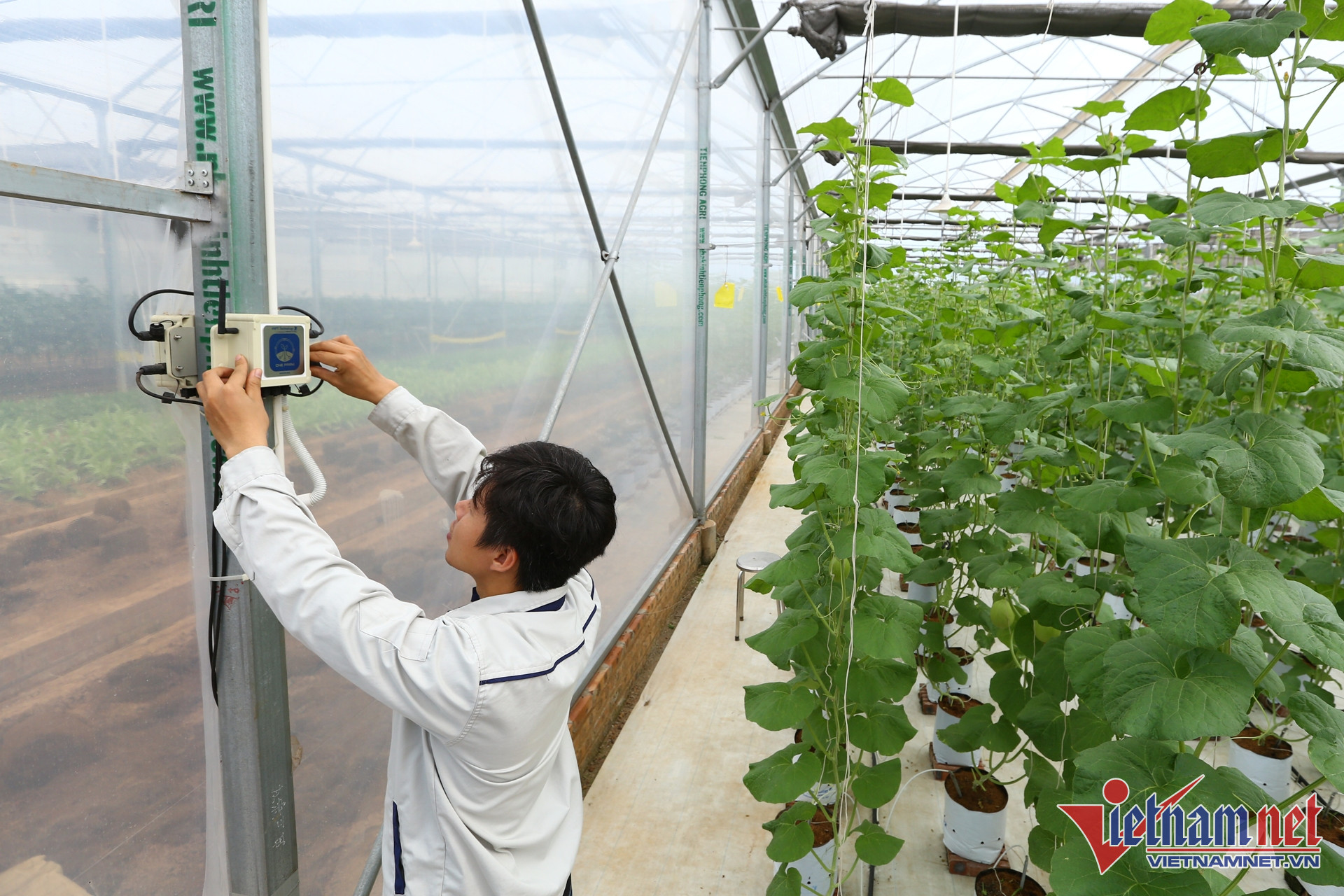 W-nong nghiep thong minh.JPG.jpg