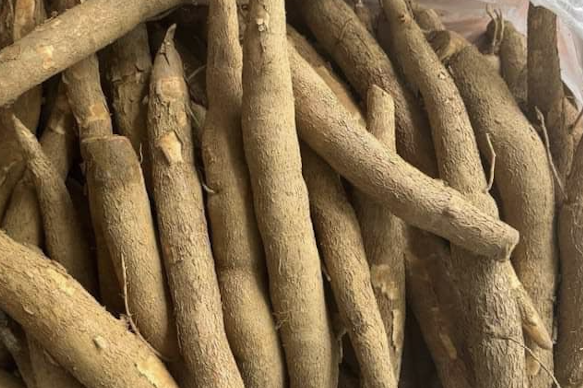 Xăng E10 phủ sóng cả nước từ 2026, nông dân có cơ hội thoát cảnh bán sắn giá rẻ