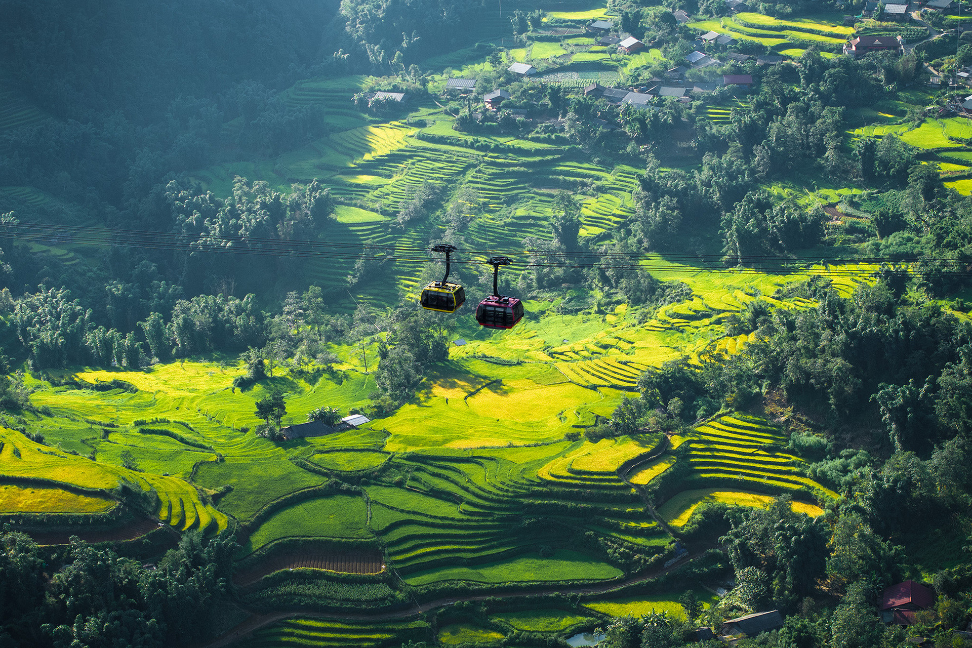 Bảo Long.jpg