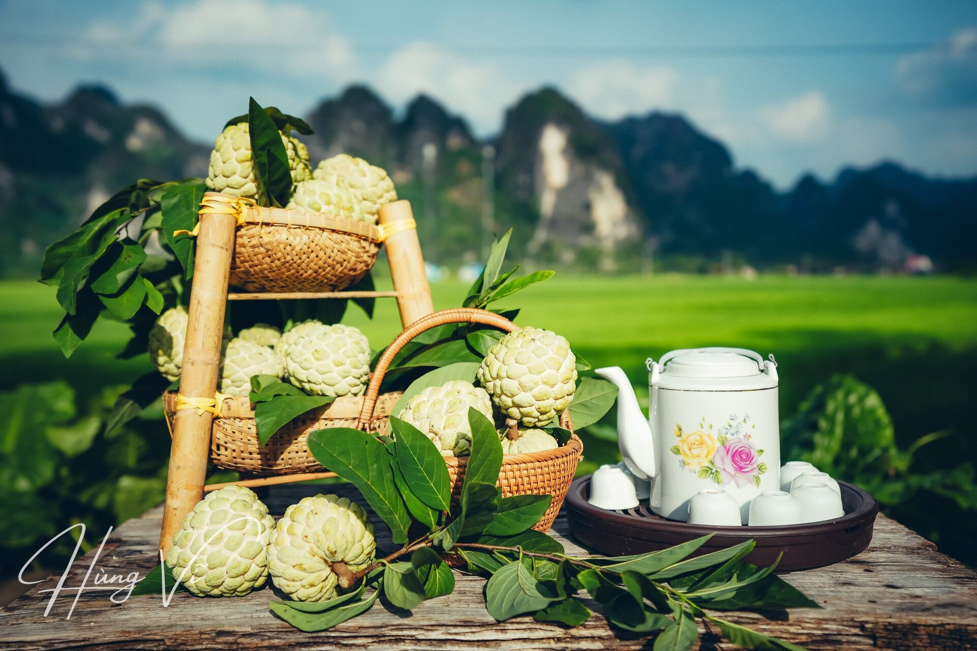 hữu lũng hái na
