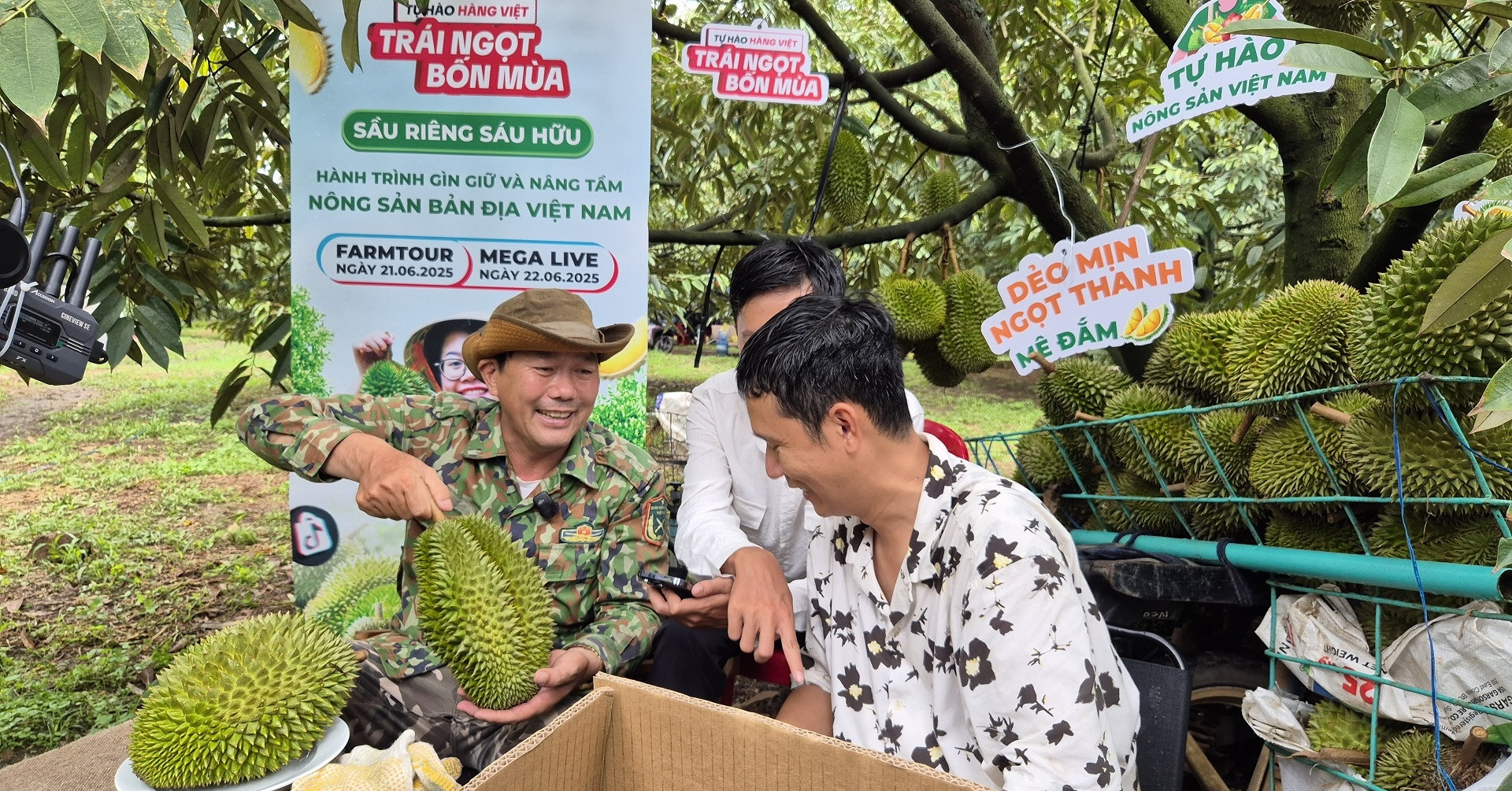 Người nông dân trồng sầu riêng kiểu mới, không sợ thừa cung