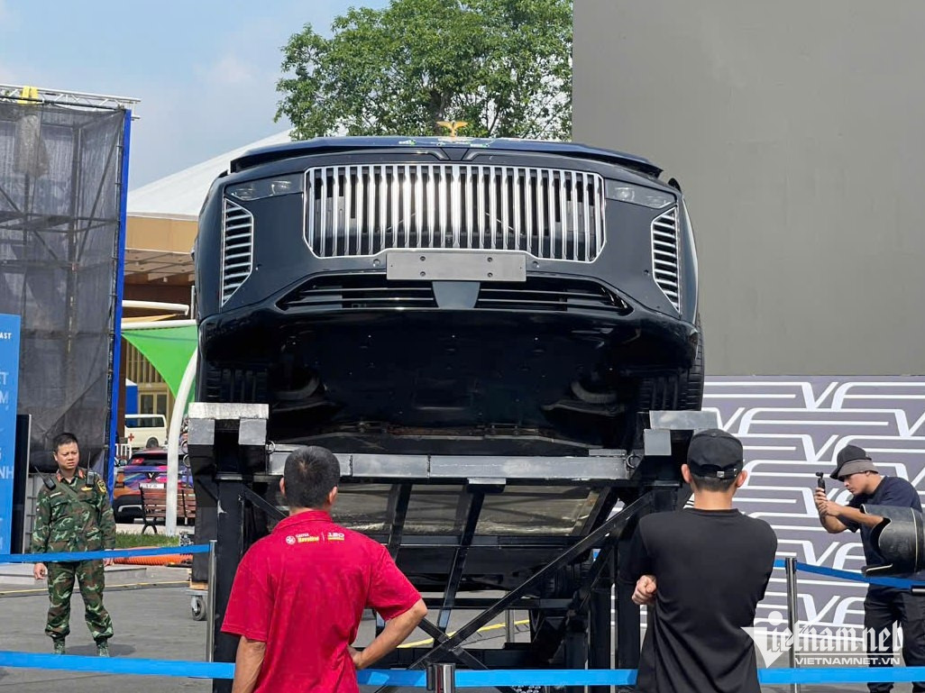 W-VF Lac Hong Chong dan 7.jpg