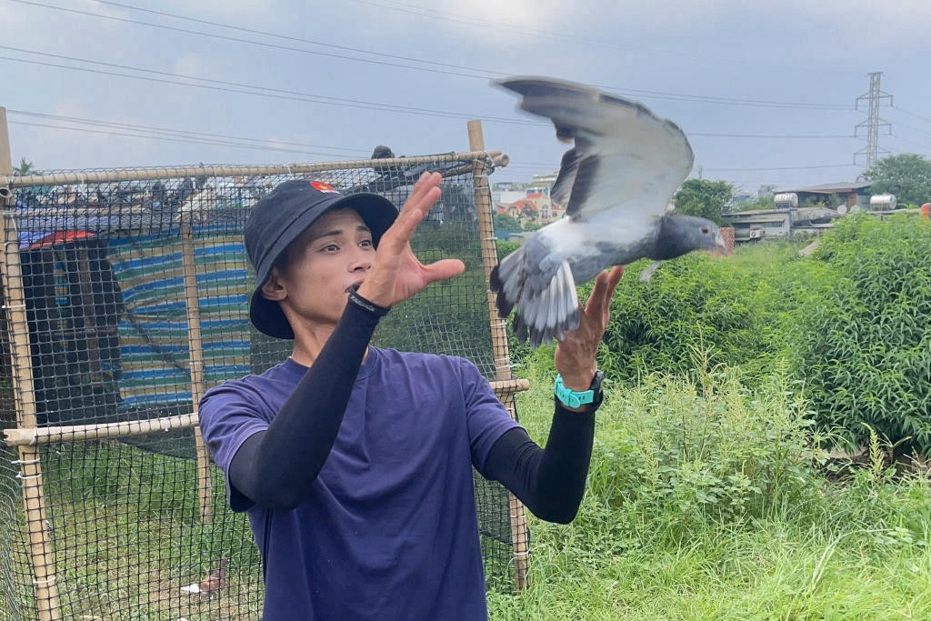 Công phu huấn luyện đàn 800 con bồ câu đua tung cánh trong Đại lễ 2/9