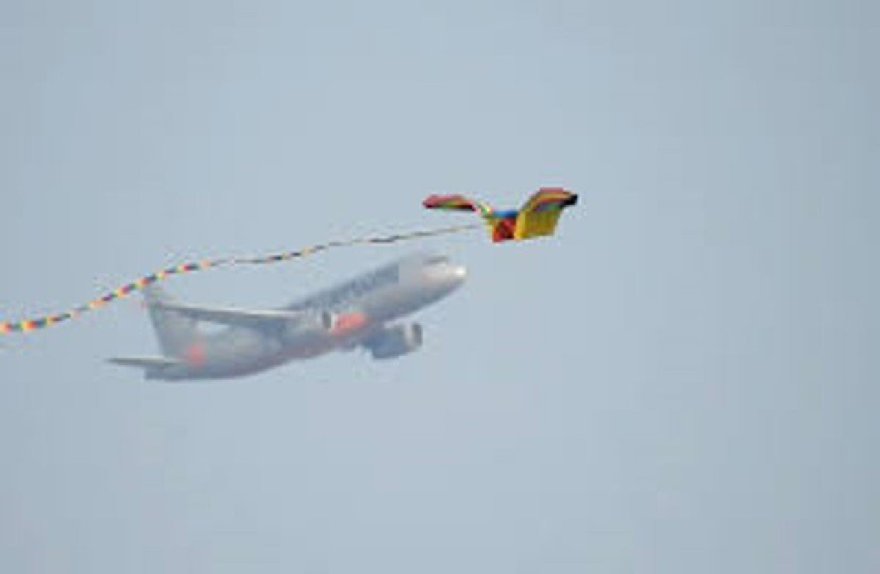 anh minh hoa 2 816.jpg