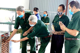 Đề xuất tăng gần gấp đôi trợ cấp cho thanh niên xung phong