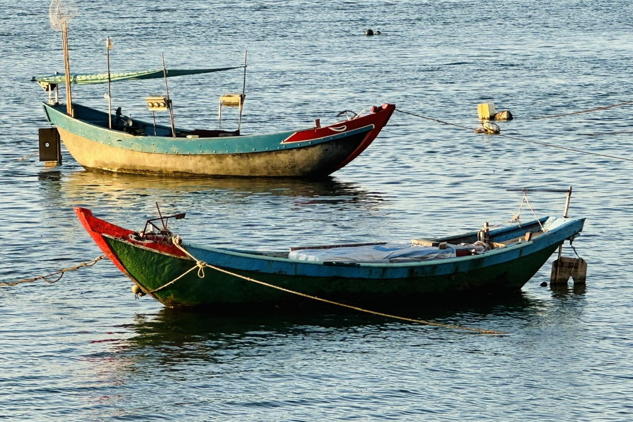 Gia Lai: Chống khai thác IUU, phát triển bền vững kinh tế biển