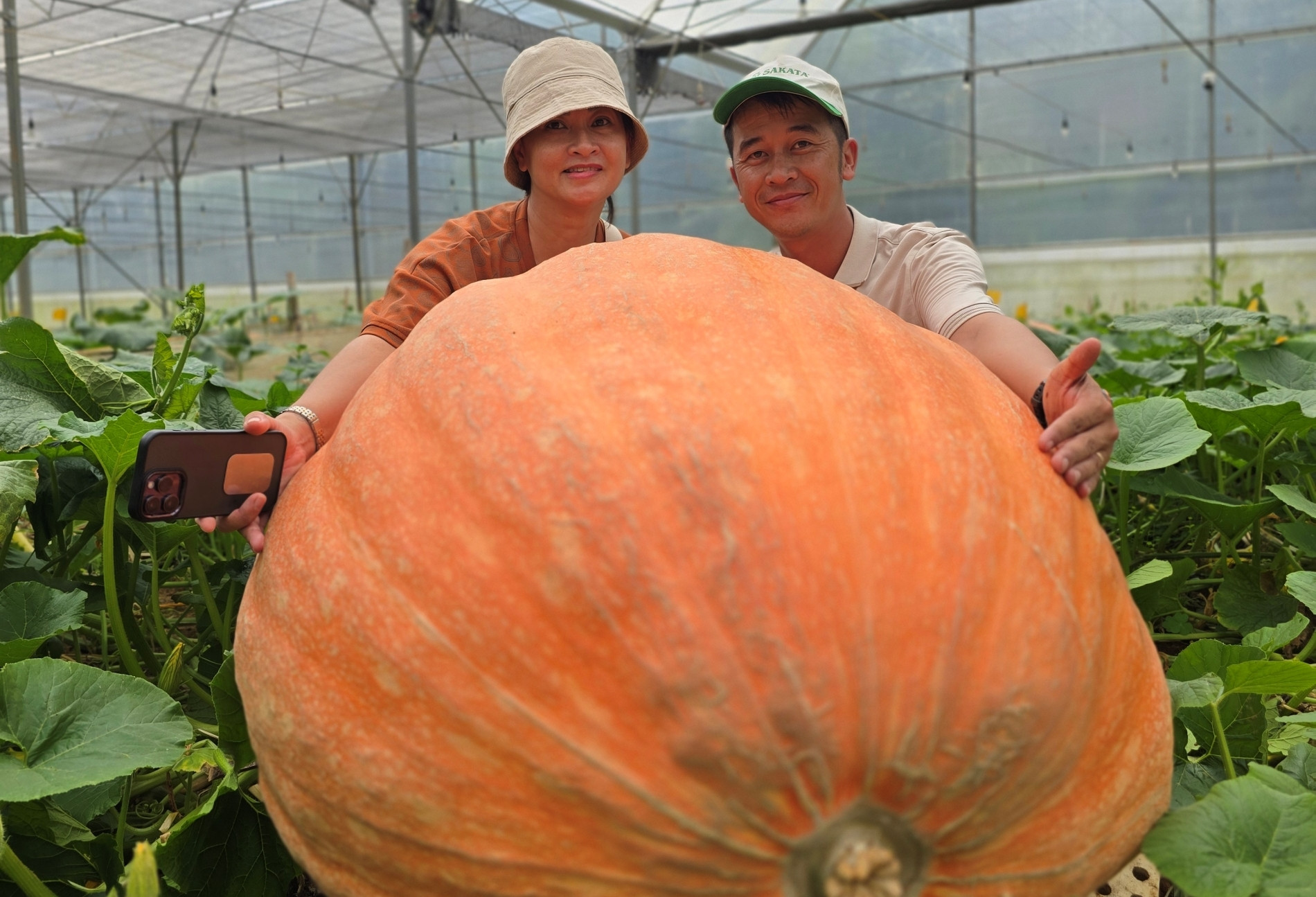 Thu hoạch quả bí ngô hơn 170kg, người đàn ông ở Lâm Đồng có quyết định bất ngờ