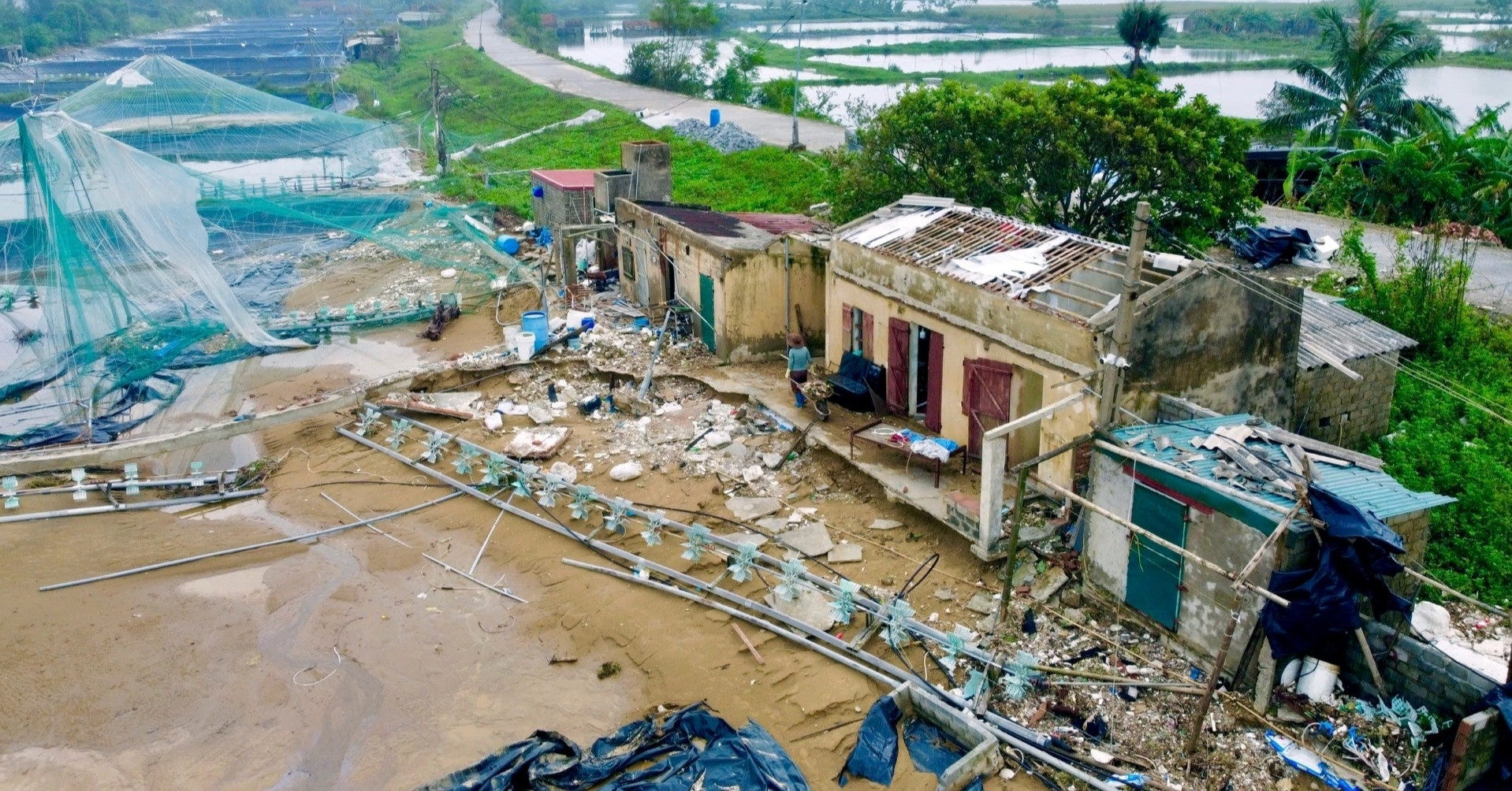 Trắng tay sau bão số 5, người nuôi tôm ở Thanh Hóa oằn mình gượng dậy