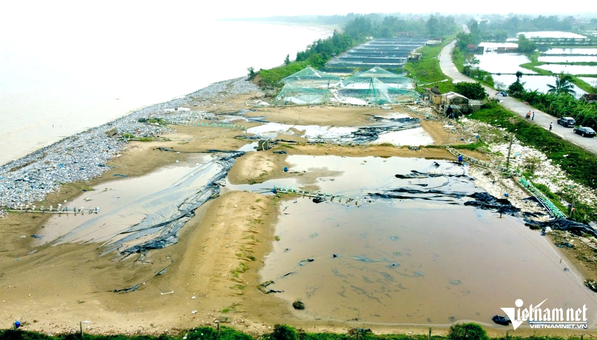 W-a1Người nuôi tôm ở Thanh Hóa thiệt hại.jpg