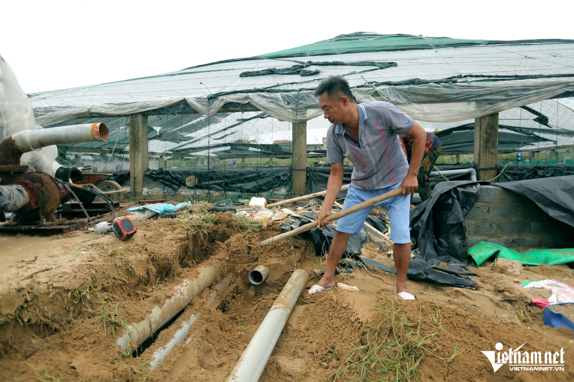 W-a4Người nuôi tôm ở Thanh Hóa thiệt hại.jpg