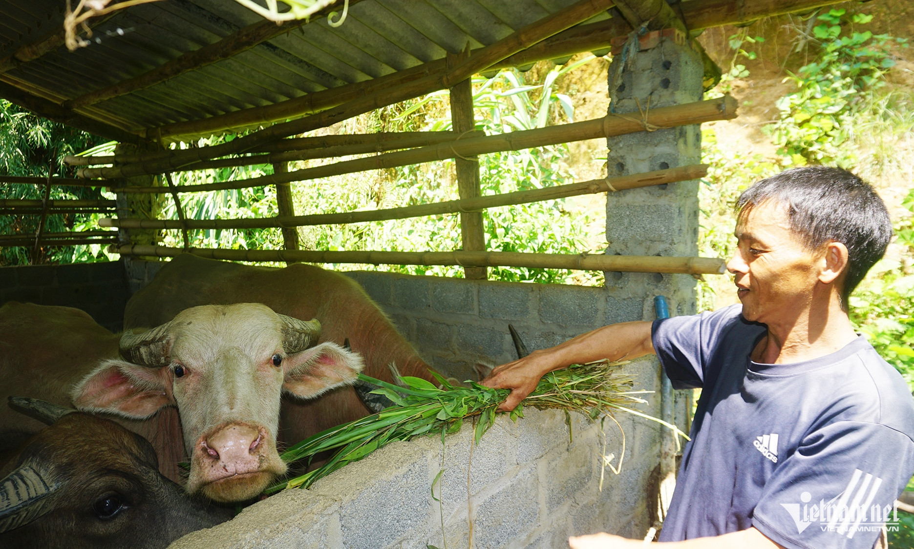 W-Xóa nhà tạm 2.JPG.jpg