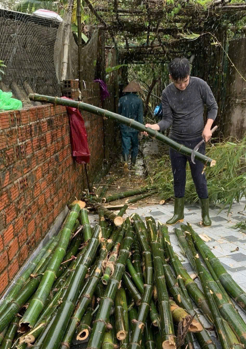 cẩm duệ4.jpg