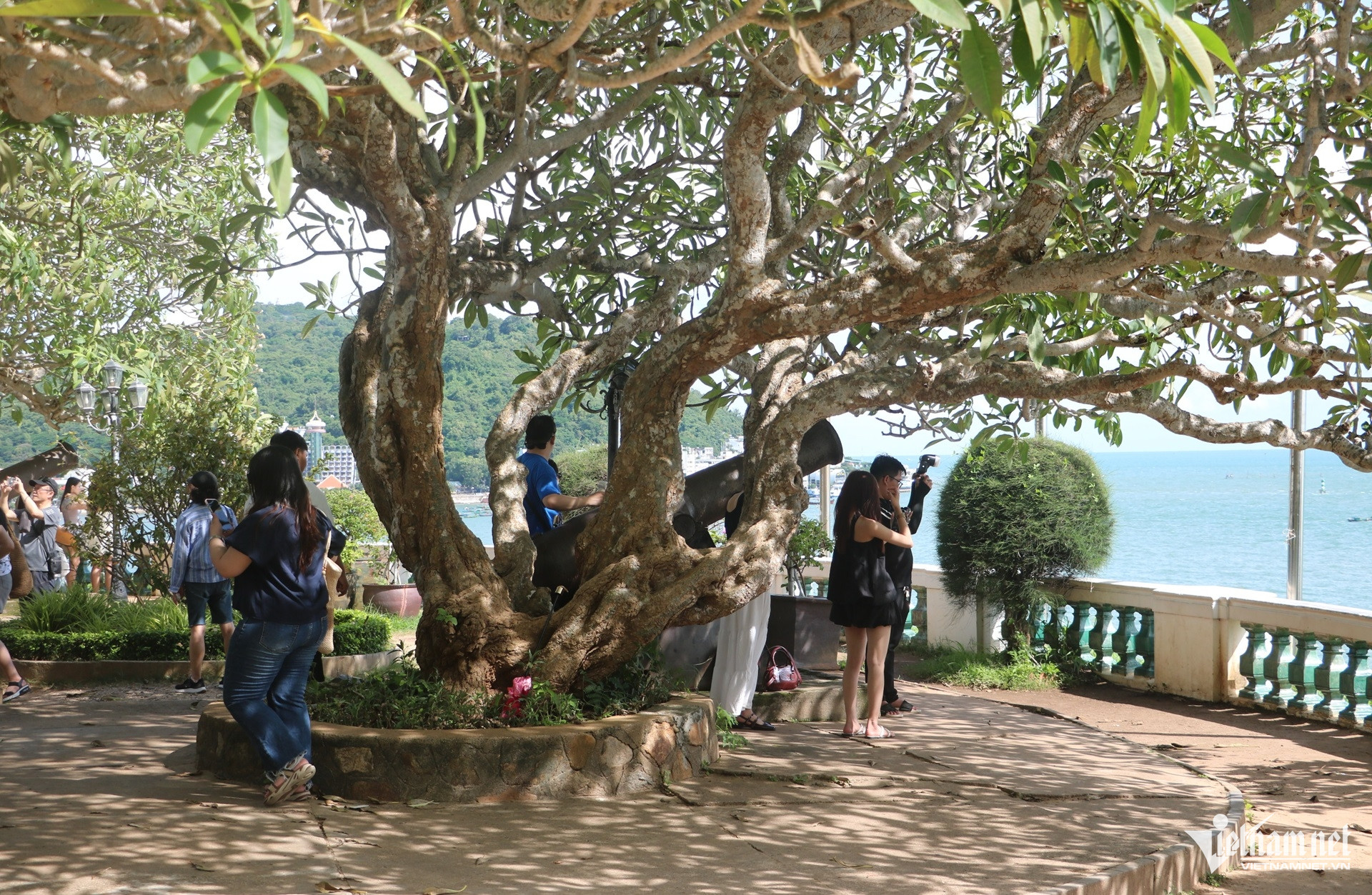 W-bạch dinh vũng tàu, nơi vua thành thái bị giam lỏng 13.JPG.jpg