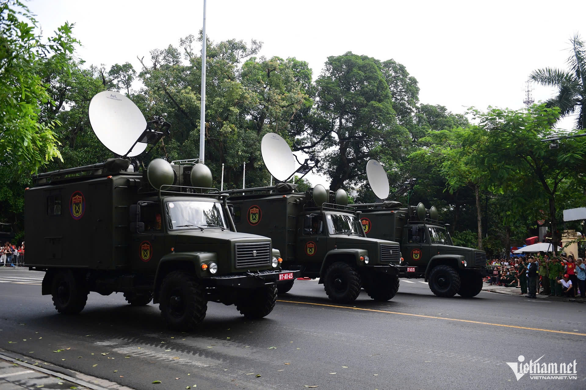 W-phong hoa 8.jpg