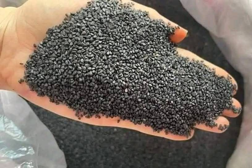 Nước mè đen rang - thực phẩm trường thọ cho phụ nữ, ai không nên dùng?