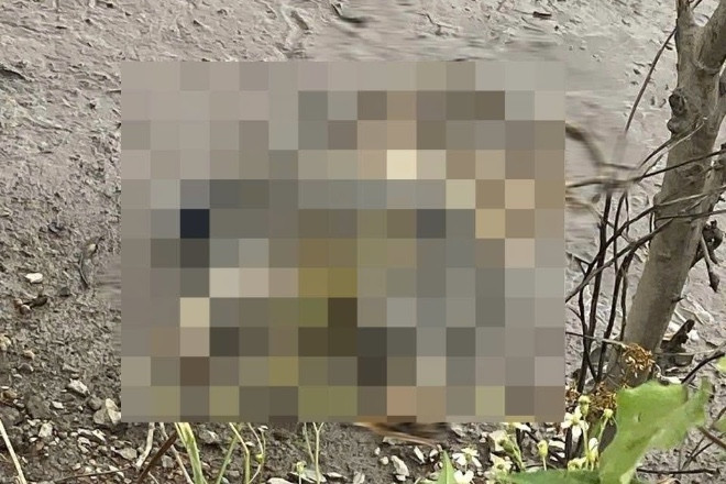 Phát hiện thi thể chỉ còn bộ xương ven kênh ở TPHCM