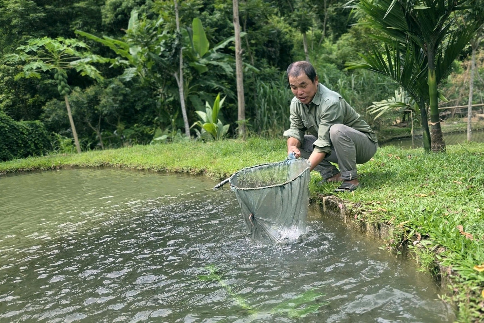 Theo dòng suối săn loài cá quý, lão nông người Thái khoe ‘mua ô tô, gửi tiết kiệm'