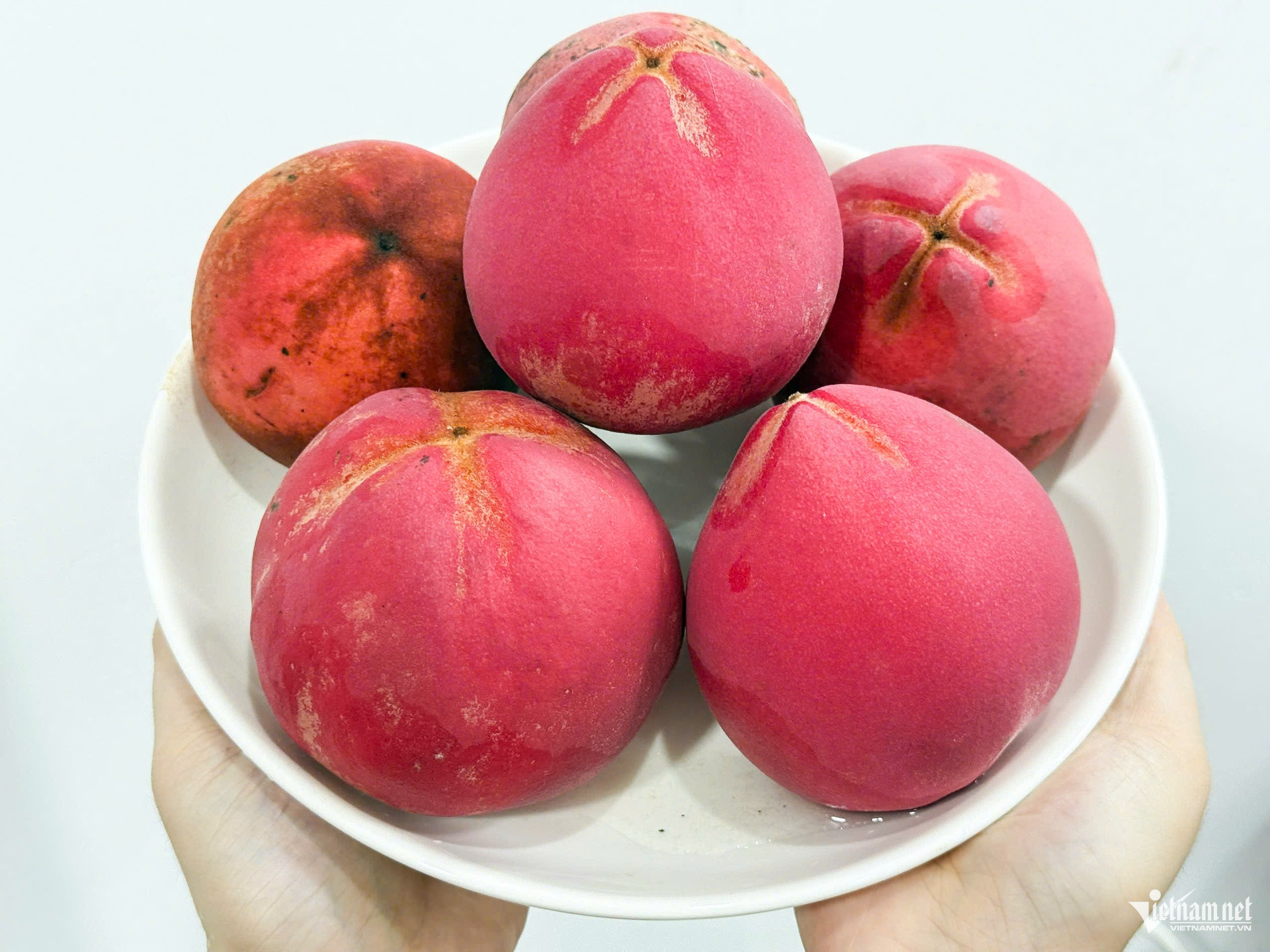 W-trái hồng nhung đặc sản sóc trăng cần thơ.jpg
