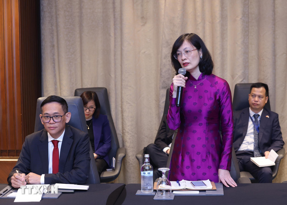 chu tich nuoc lam viec voi cac dai su viet nam tai chau phi 6.jpg