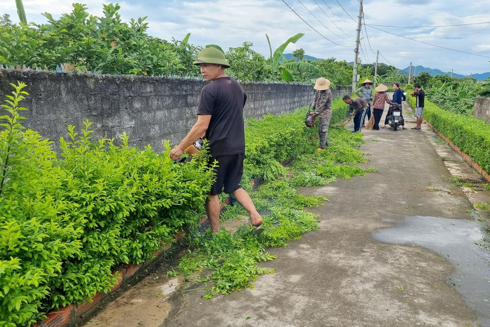 Môi trường nông thôn mới 2026–2030: Hướng tới phát triển xanh và bền vững