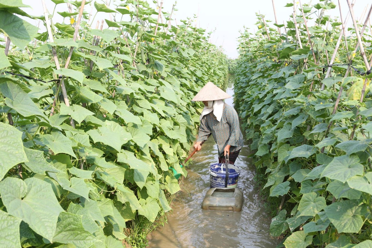 Người dân Hát Môn chung tay xây dựng miền quê đáng sống