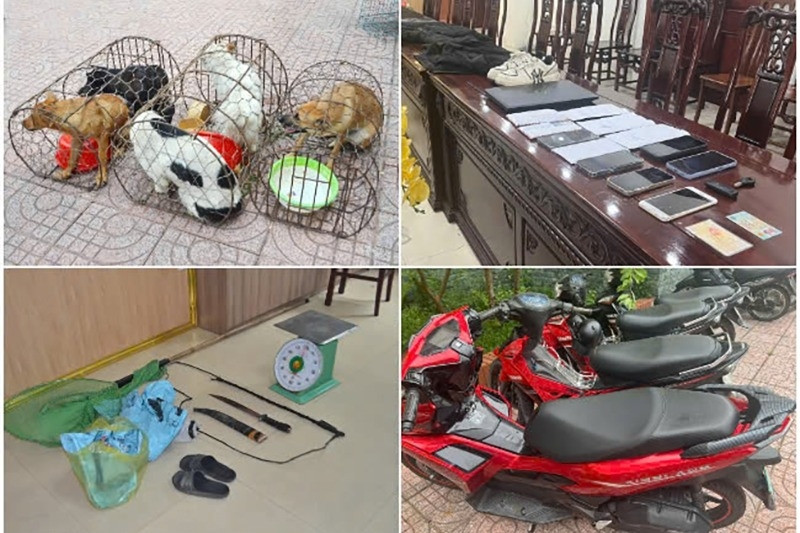 Ổ nhóm trộm 2 tấn chó, mang cả kích điện, kiếm để sẵn sàng chống trả