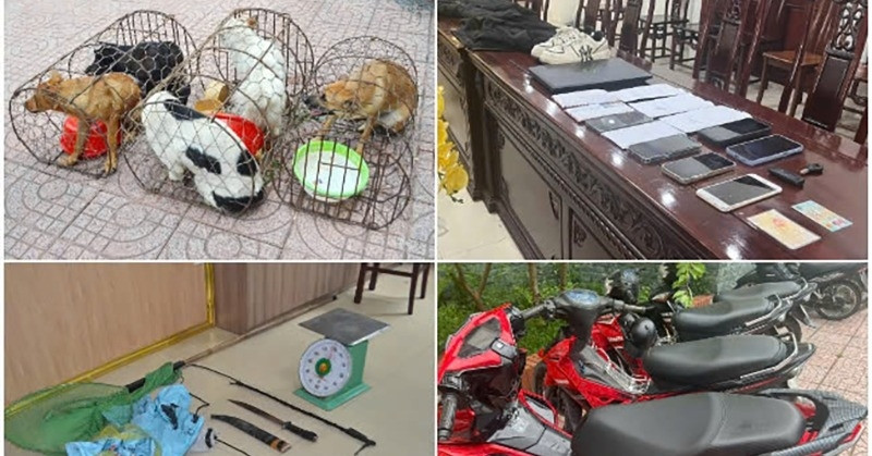 Ổ nhóm trộm 2 tấn chó, mang cả kích điện, kiếm để sẵn sàng chống trả