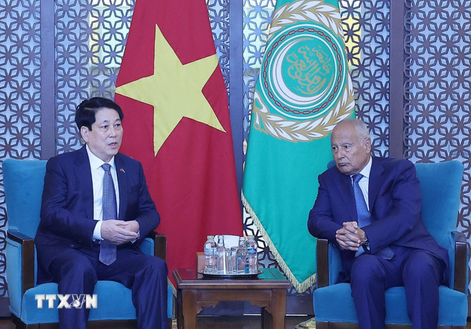 ttxvn-chu-tich-nuoc-luong-cuong-phat-bieu-chinh-sach-tai-lien-doan-arab-0408-7.jpg