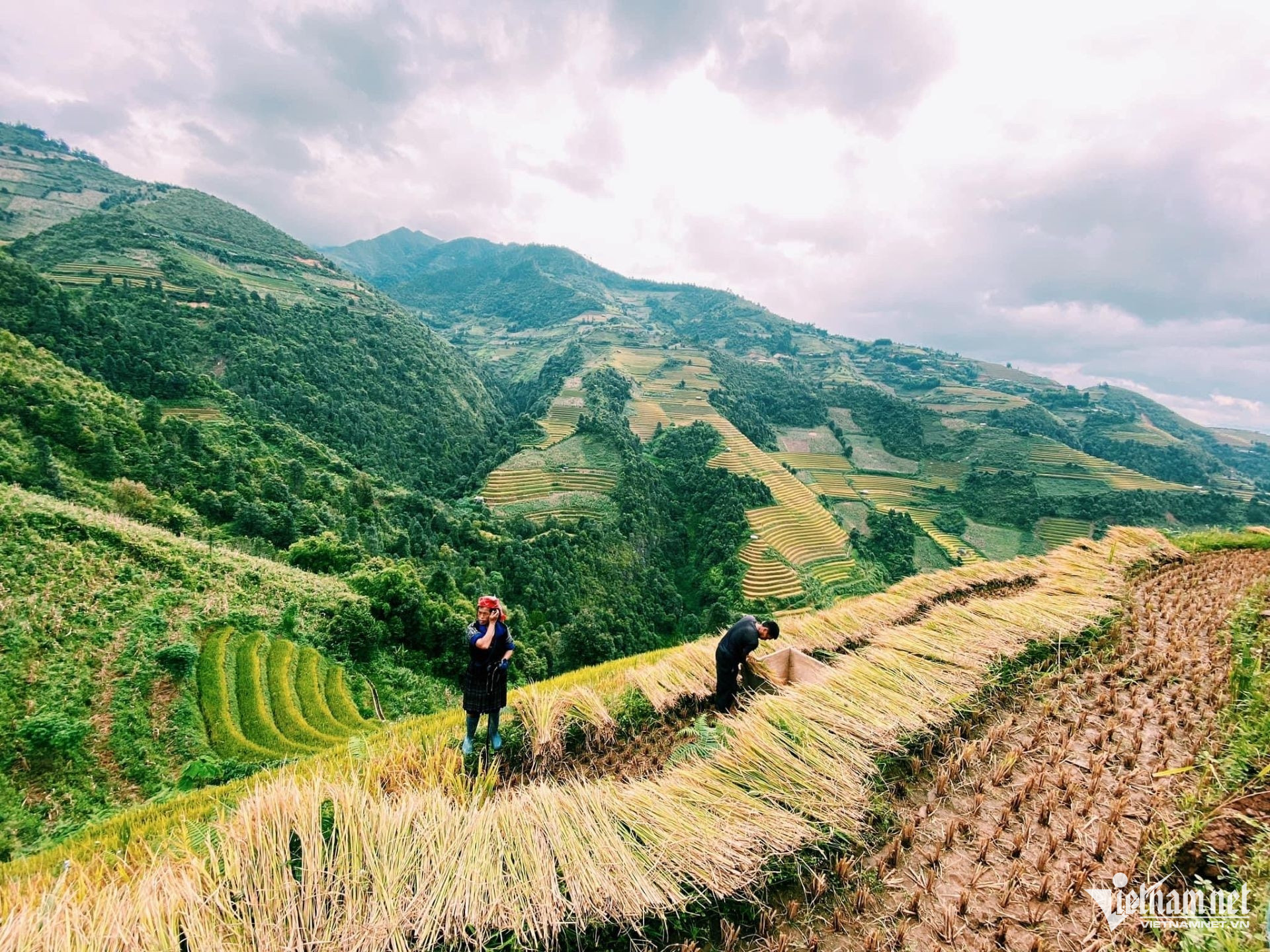 W-10. Lào Cai kiến nghị 25.7.jpg