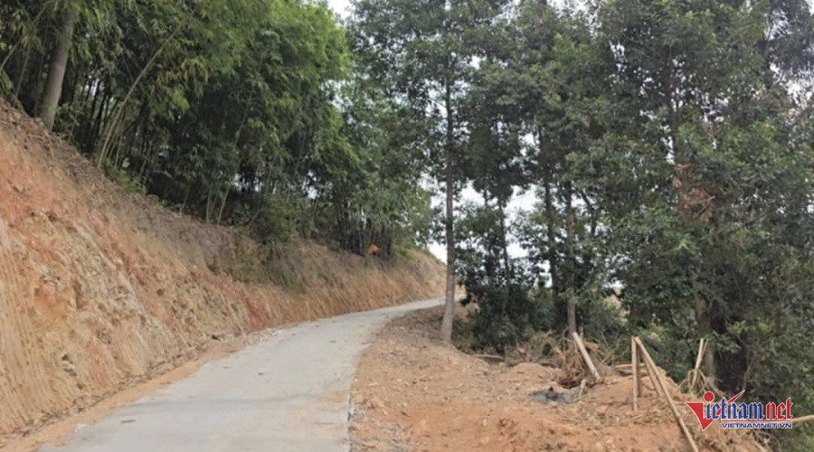 W-5724efc0 dd45 4173 9669 f4e12bc7ace9.jpg