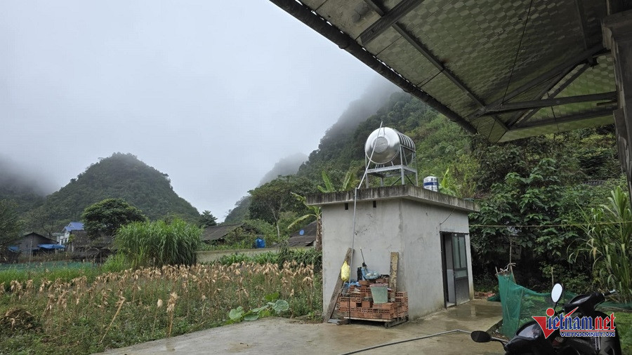 W-6b6f2666 bd13 4df8 a1a3 f00a2064d2dd.jpg