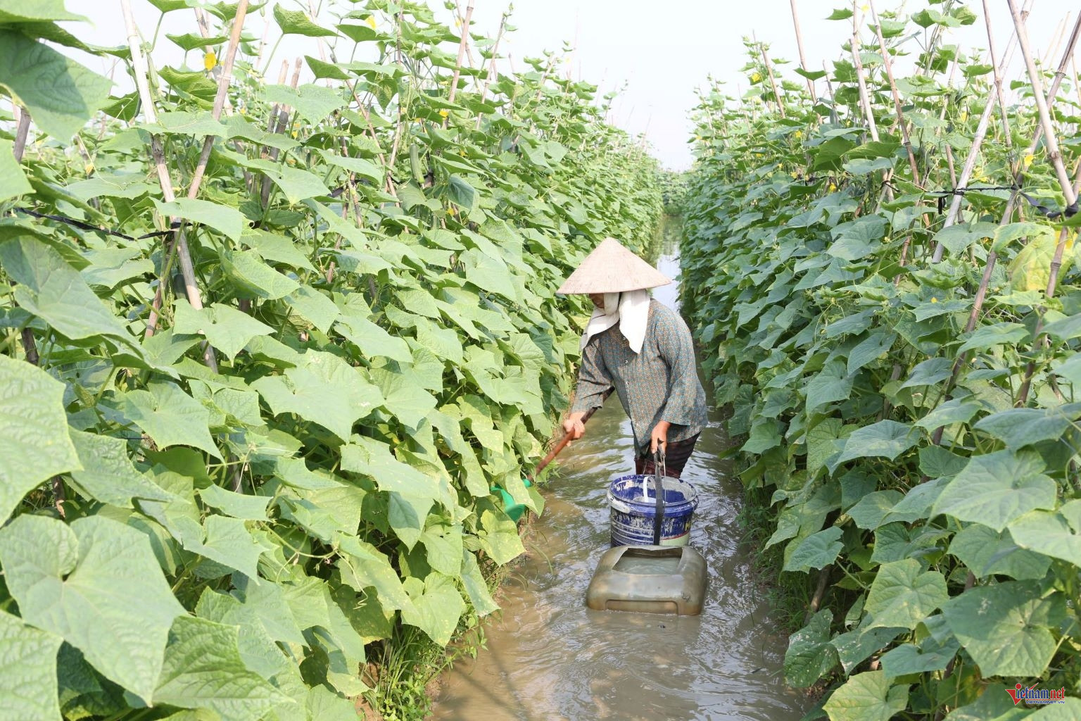 W-anh bai 3 hat mon.jpg