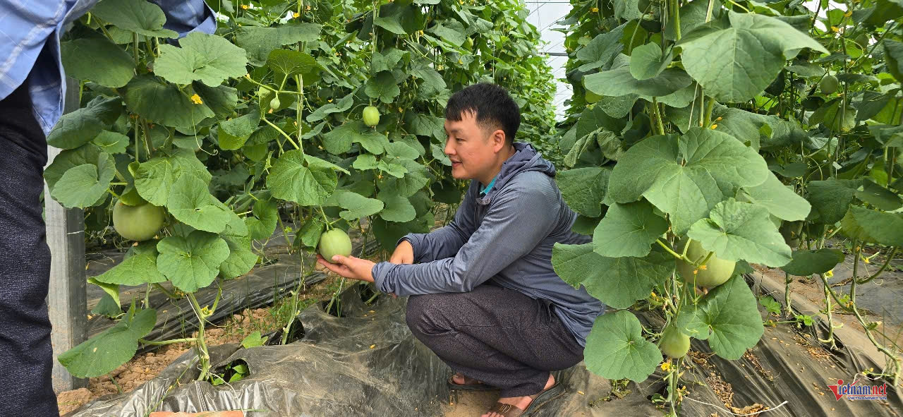 W-anh bai 6.jpg