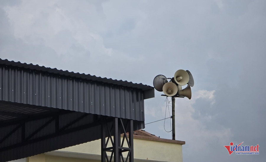 W-fd74725d a3e7 413f a3bc b3b1b2fa6941.jpg