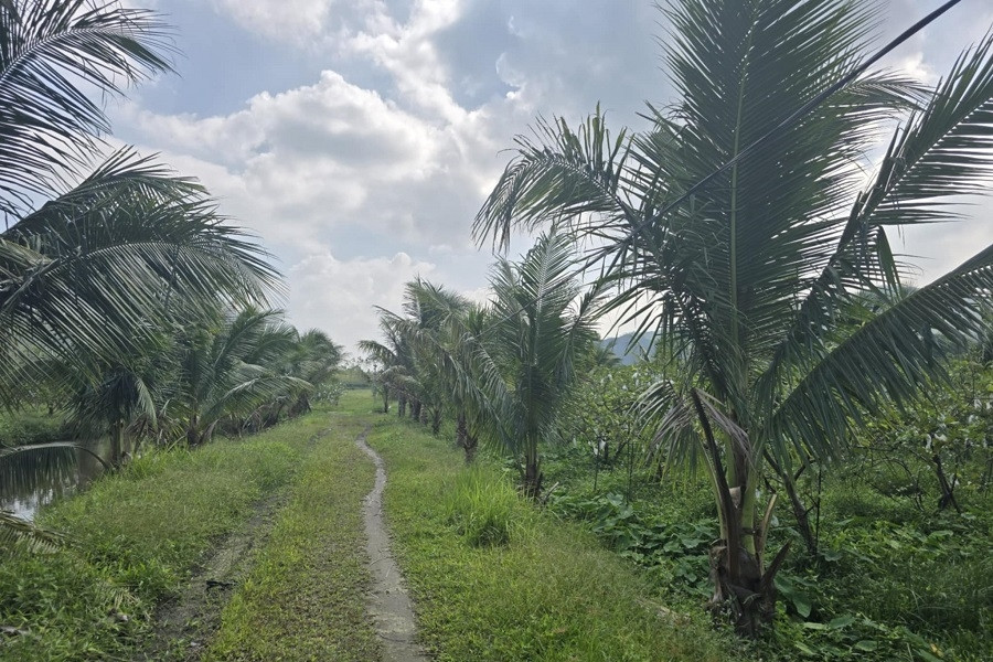 Đồng Tháp: Chú trọng kiểm tra, giám sát và truyền thông xây dựng nông thôn mới