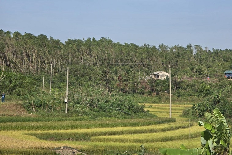 Du lịch cộng đồng - hướng phát triển bền vững trong nông thôn mới