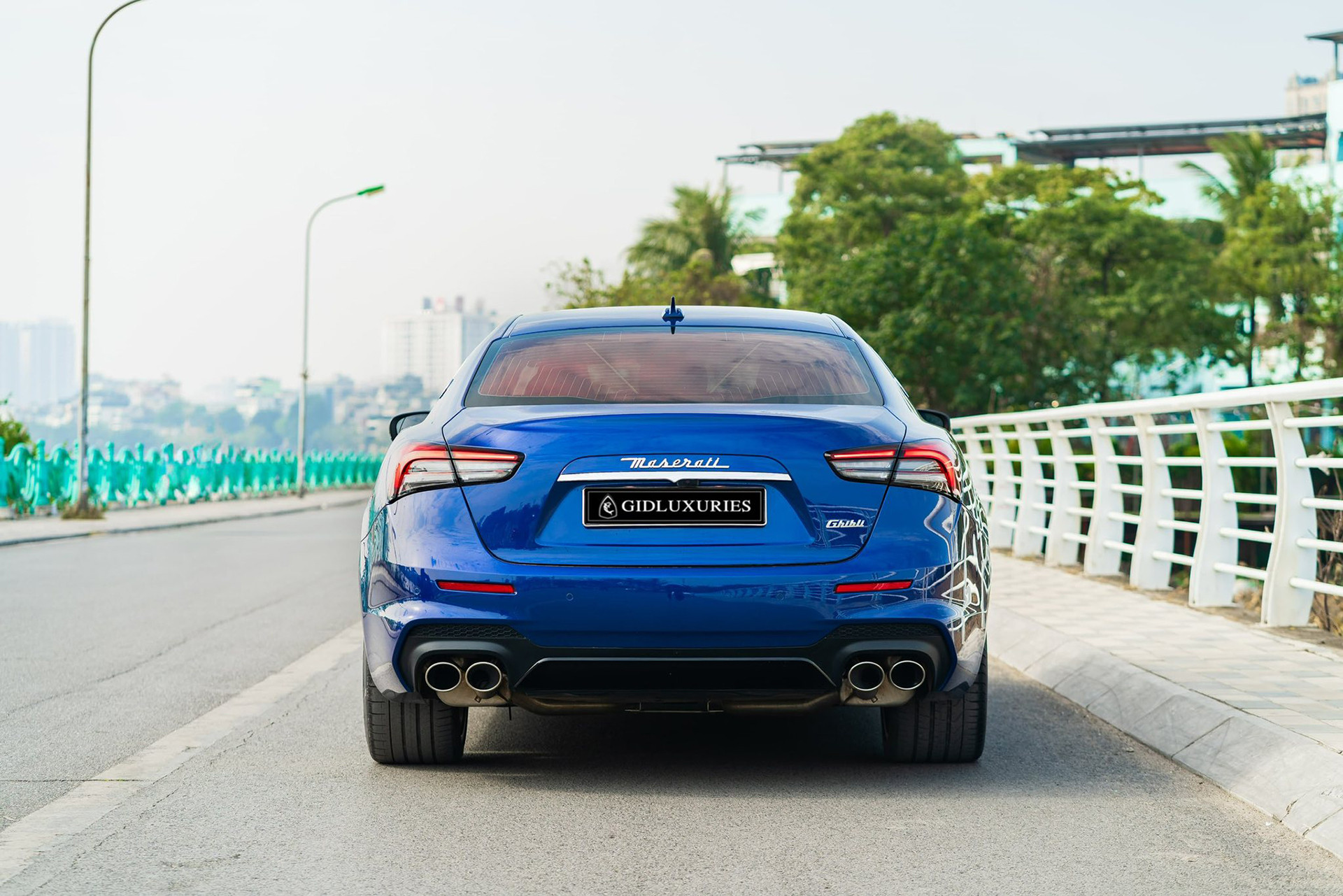 ghibli hybrid 13.jpg