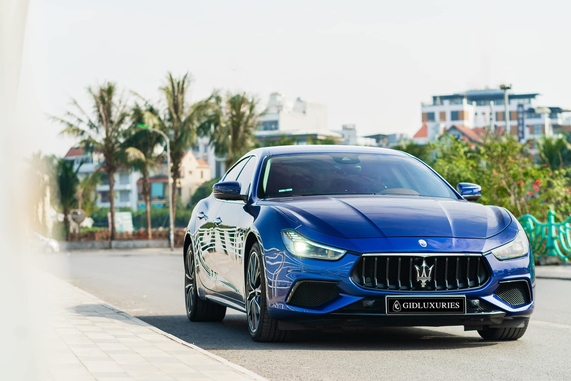 ghibli hybrid 15.jpg