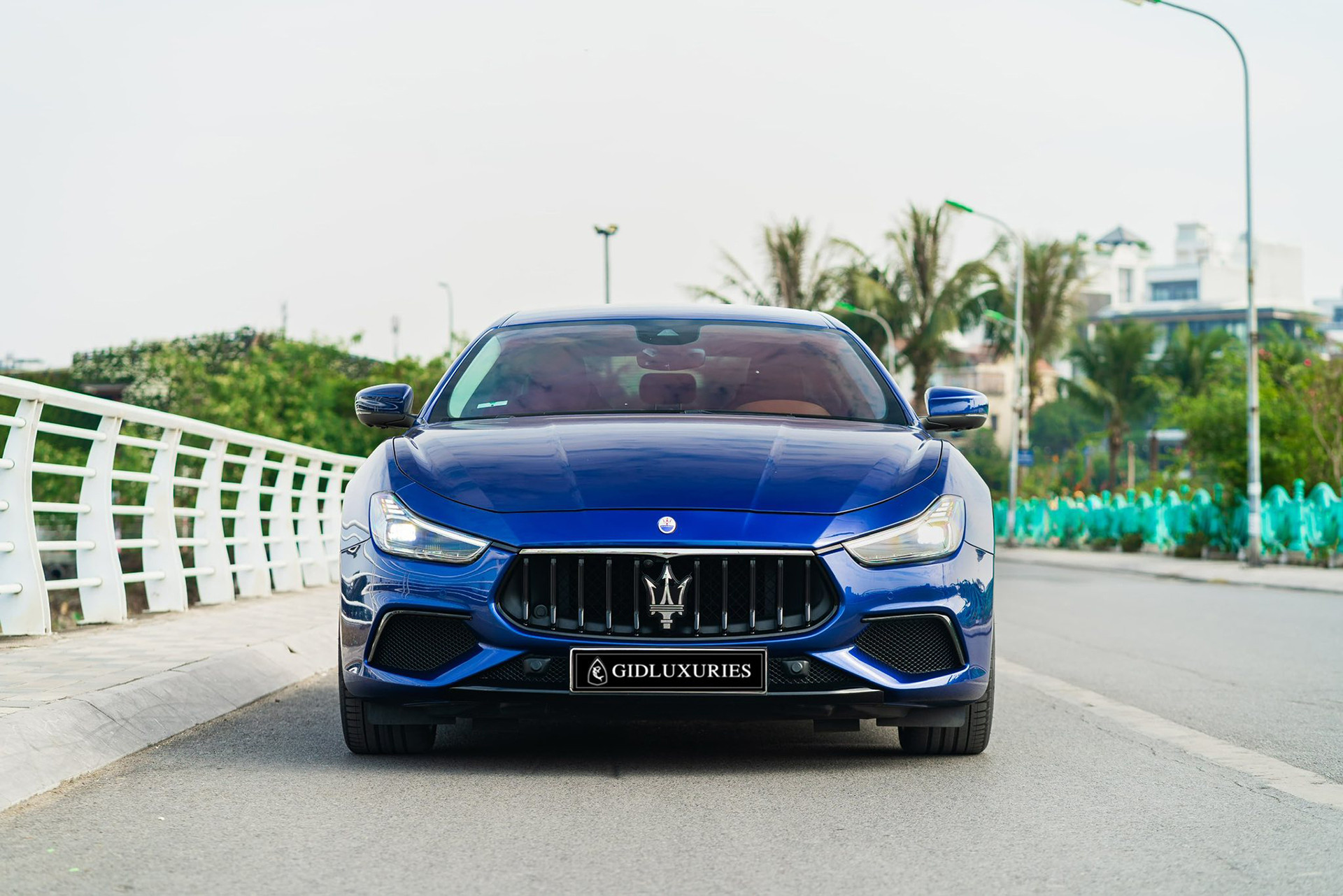 ghibli hybrid 2.jpg