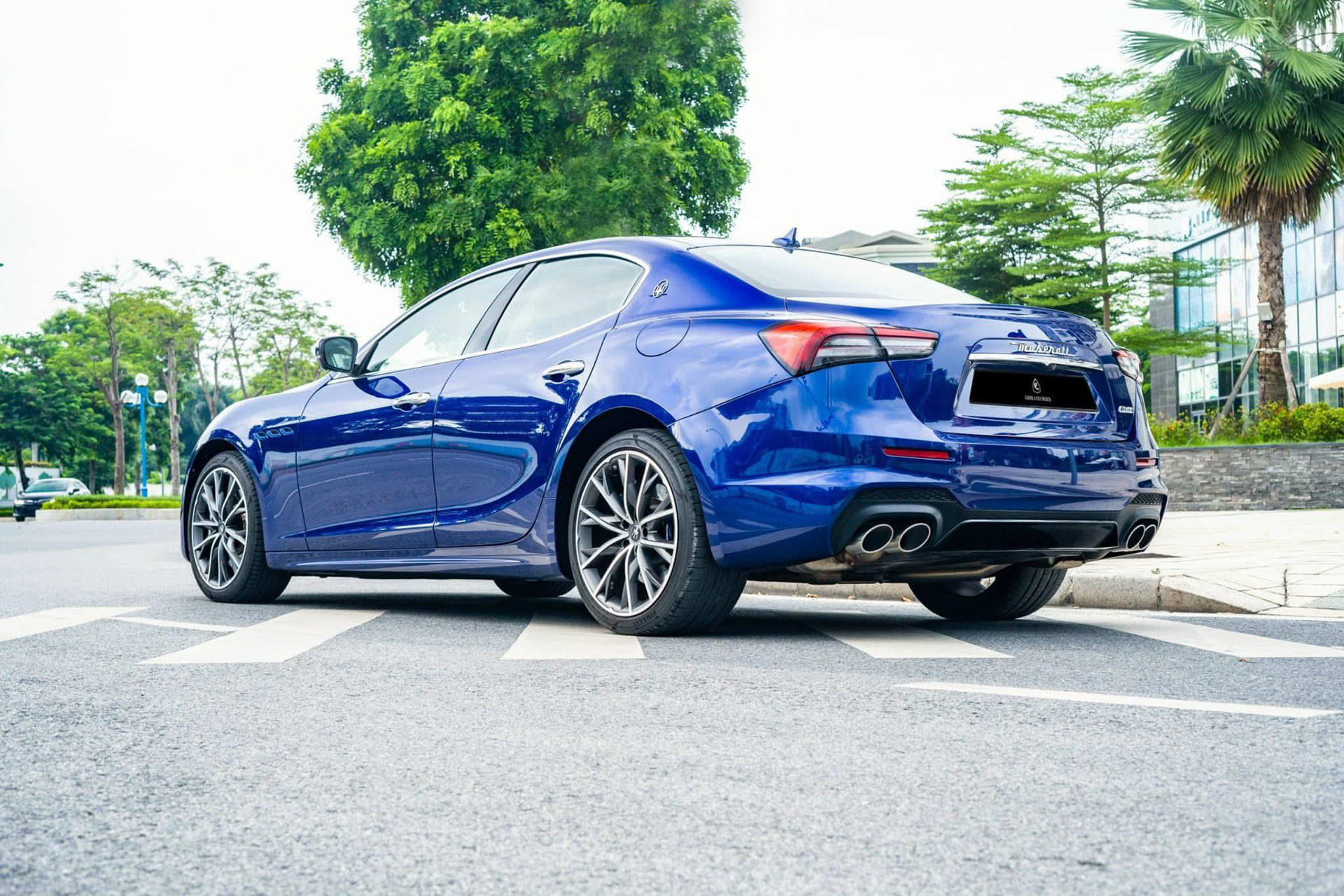 ghibli hybrid 3.jpg