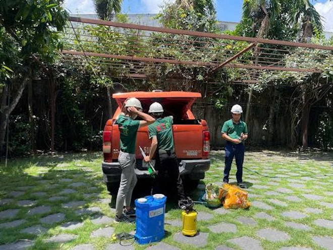 Giải pháp xử lý hiệu quả tổ mối trong nhà