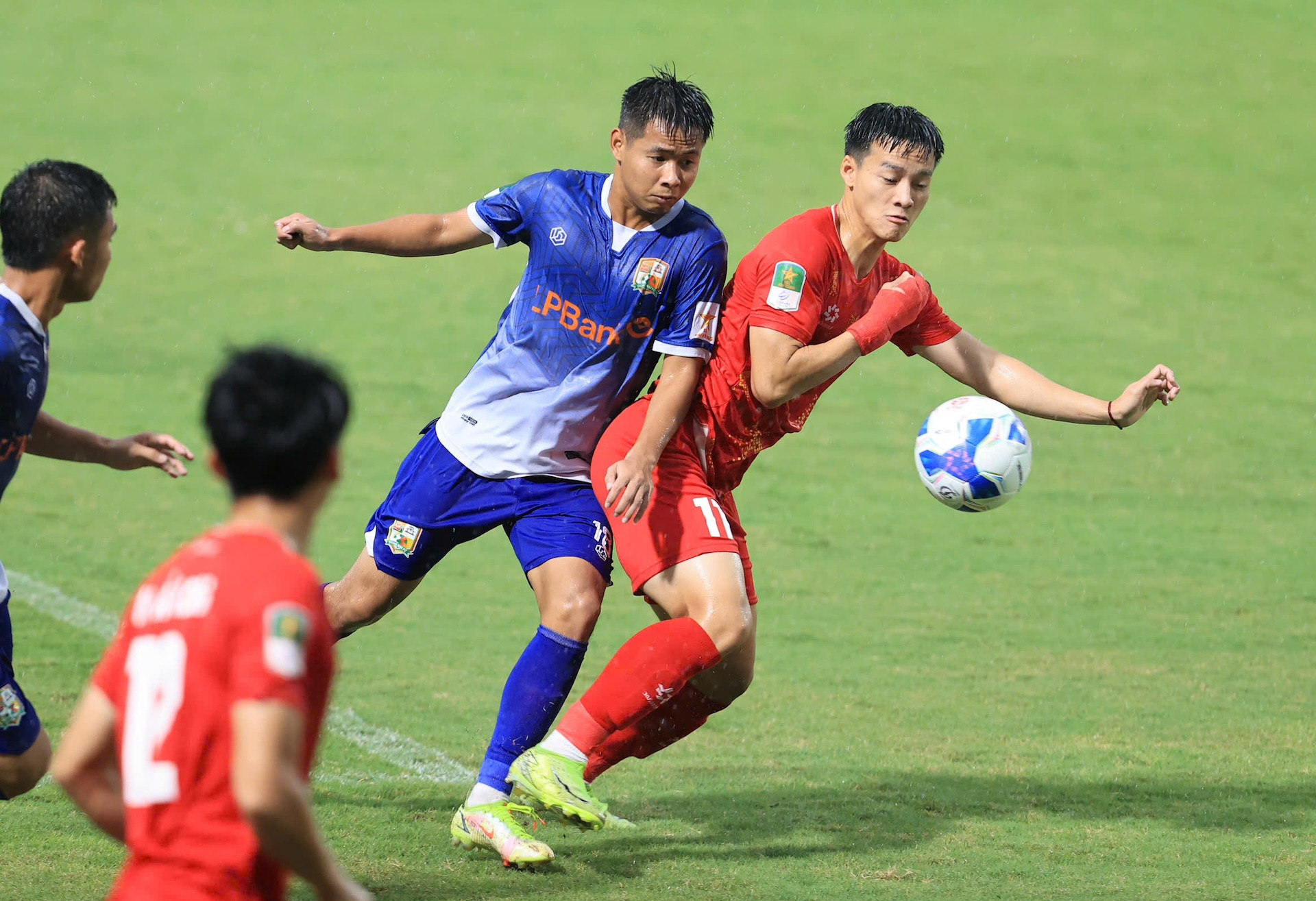 pvf_dongnai.jpg