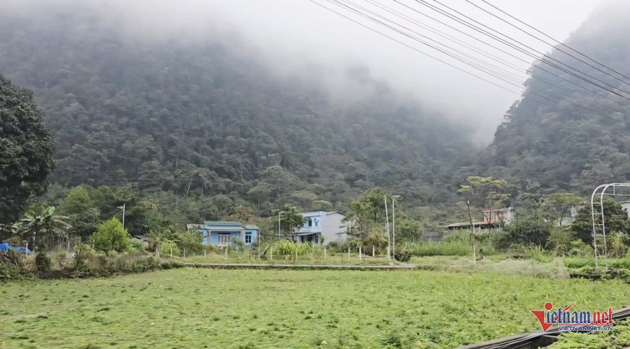 W-1ff7e1c2 0bfe 46ef a88c dfc7176980f3.jpg