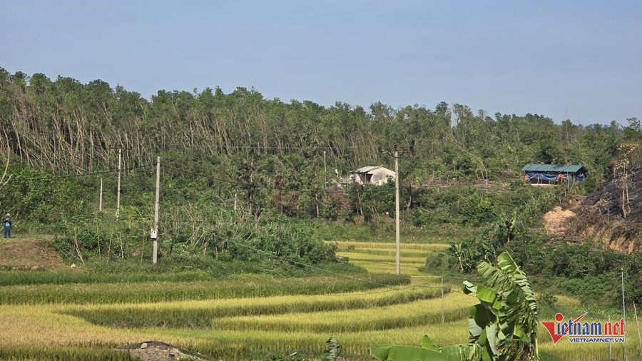 W-2928c3d4 fc8b 42c9 a71b 7fe0d4162649.jpg