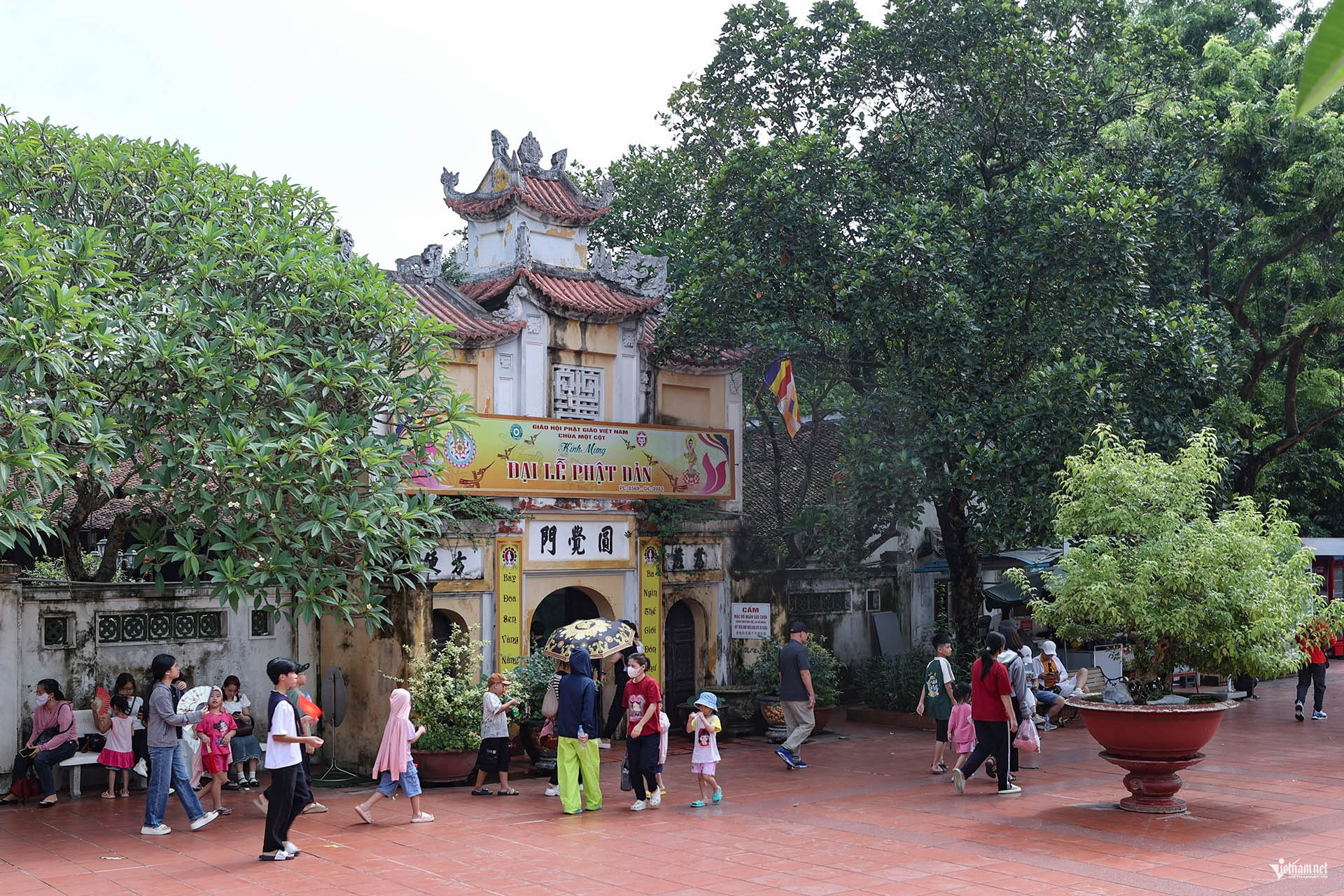 W-Anh 1.jpg