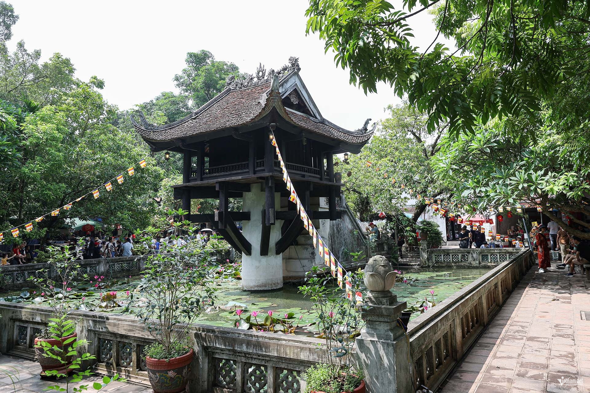 W-Anh 10.jpg