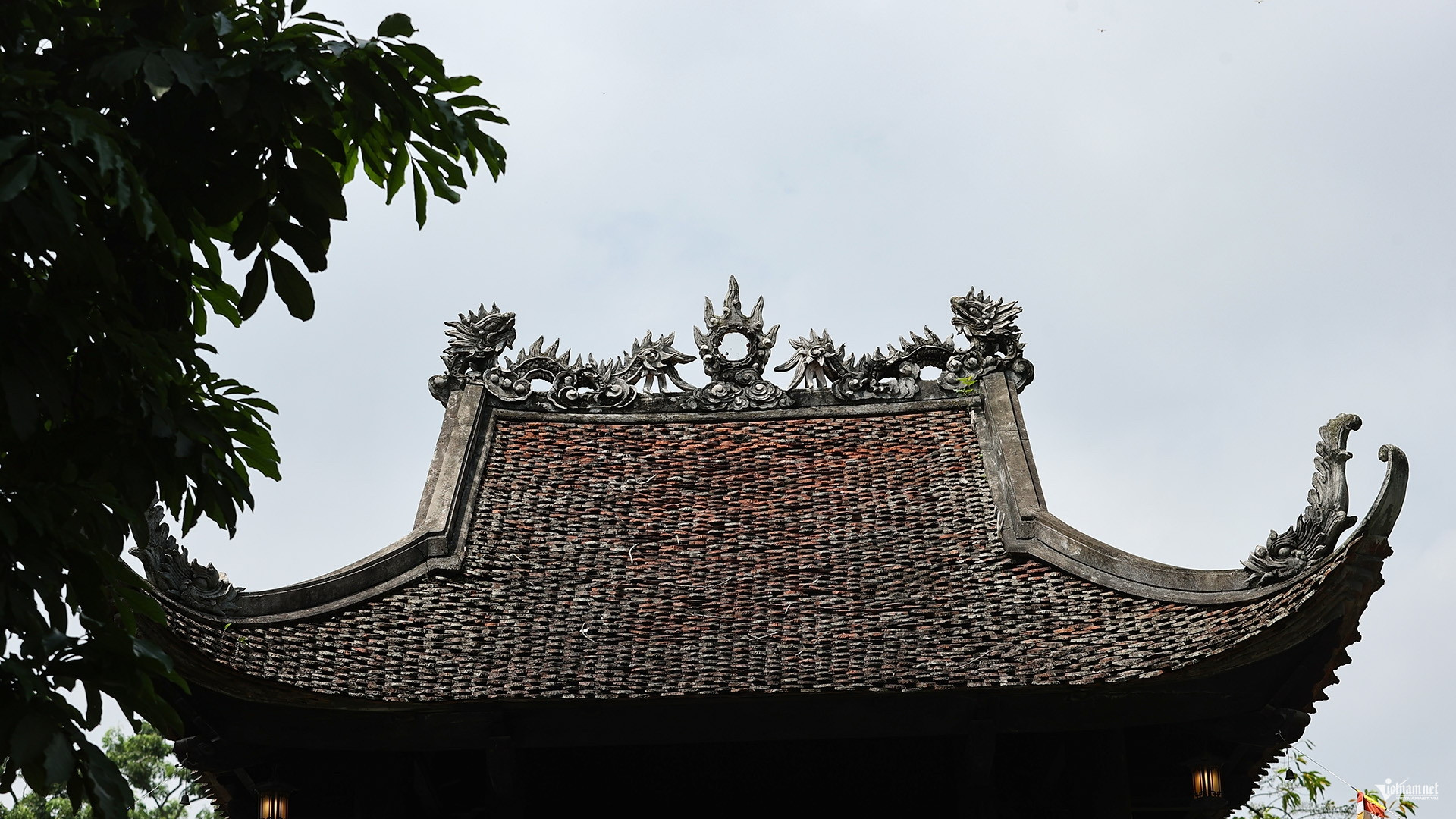 W-Anh 11.jpg